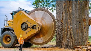 Extreme Dangerous Fastest Big Chainsaw Cutting Tree Machines  Monster Stump Removal Excavator 30 [upl. by Dasie509]