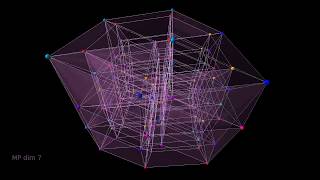 Hypercubes  Measure Polytopes dimensions 4  8 [upl. by Nilyad28]