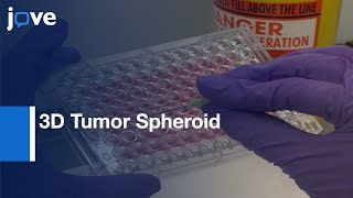 3D Tumor Spheroid Invasion Assay  Protocol Preview [upl. by Venterea]