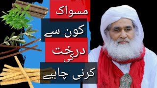 miswak kis darakht ki sunnat hai  ameer ahle sunnat ka bayan miswak trending [upl. by Eva511]