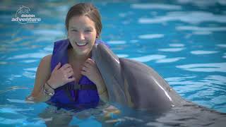 Swim with Dolphins amp Sea Lions in Puerto Vallarta  Vallarta Adventures® [upl. by Katerina]