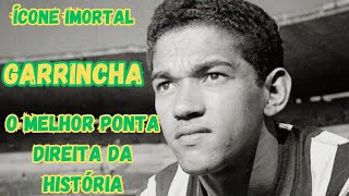 Garrincha A Estrela que Iluminou o Caminho para a Glória Brasileira [upl. by Amann550]