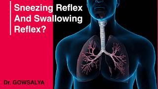 What is Sneezing Reflex and Swallowing Reflex Respiratory Physiology  General Medicine [upl. by Ahsinna365]