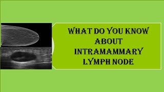 What do you know about intramammary lymph node [upl. by Lefkowitz573]