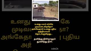 தனி ஒருவன்motivational mobile animals subscribers youtubeshorts trending viralshort life [upl. by Mahala]