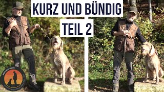 Angespannte Leine lässt Aggressionen entstehen  Hundeschule UB [upl. by Olga]