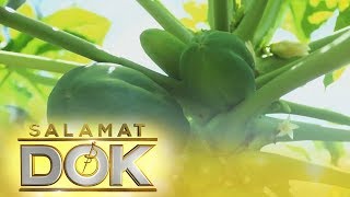 Salamat Dok Health benefits of Papaya [upl. by Oznole]