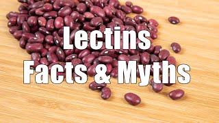 Lectins Facts amp Myths 700 Calorie Meals DiTuro Productions [upl. by Bainter]