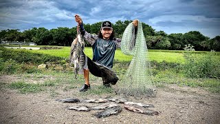 Pesca Masiva De Tilapias Con Tarraya  Pesca Y Cocina [upl. by Cari]