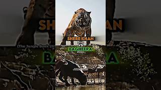 Shere Khan vs Bagheera [upl. by Aimaj]