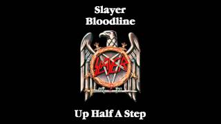 Slayer  Bloodline Drop D  D Standard [upl. by Alius]