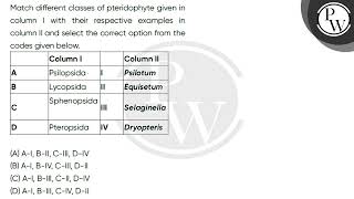 Match different classes of pteridophyte given in column I with their respective examples in colu [upl. by Eachern156]