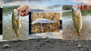 Lake Del Valle Fishing  Jerkbait Session fishing fish fishingvideo jerkbait bassfishing [upl. by Altman156]