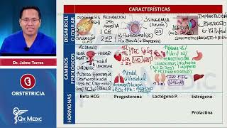 Perimenopausia y Hormonas ΒΏQuΓ© me estΓʽ pasando  Dra Gilda GutiΓ©rrez  GinecΓ³loga Obstetra [upl. by Mandal383]