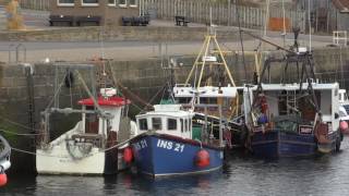 BURGHEAD HARBOUR  RUNRIG  DAY IN A BOAT [upl. by Einnaf946]