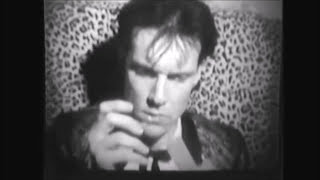 The CRAMPS  Human Fly Official Video [upl. by Pruter]