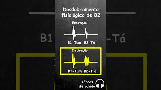 desdobramento fisiologico da segunda bulha shorts [upl. by Hoon762]