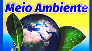 Vídeo Aula  O MEIO AMBIENTE  Conceito Importância Problemas e Preservação [upl. by Htieh]