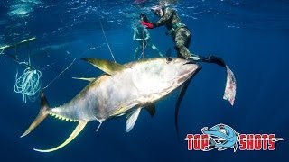 Spearfishing 100Kg Yellowfin Tuna [upl. by Bevash]