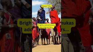 african tribe maasai song and dance  shorts [upl. by Simone]