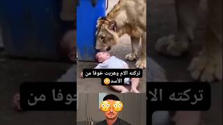 الام تركت طفلها وهربة خوفاً من الاسد 😳شاهد😳😳😳 [upl. by Assenej]