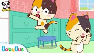 Baby Kitten Dont Climb up High  Kids Safety Tips at Home  Potty Training  Kids Song  BabyBus [upl. by Nesbitt683]