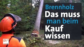 Die Maßeinheiten beim Brennholzkauf Festmeter Ster Schüttraummeter  Abendschau  BR24 [upl. by Nirehtac]