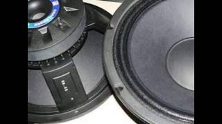 P audio speakersevJBLrcfMartin audio best 5 [upl. by Nolyak544]