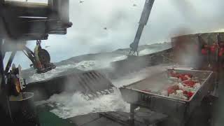 Bering Sea Alaska Crabbing Throwing the Hook in a Storm During Snow Crab 2011 FV Western Mariner [upl. by Audris]