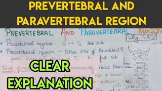 Prevertebral and para vertebral regions [upl. by Novehs]