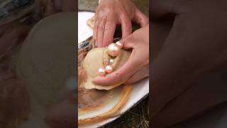 Satisfying Oyster Pearls Opening 🦪 oysters satisfying oddlysatisfying asmr fyp shorts [upl. by Ober]