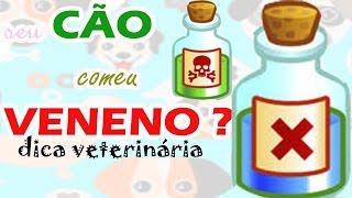 INTOXICAÇÃO EM CÃES  O QUE FAZER [upl. by Cadmarr]