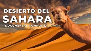 DESIERTO DEL SAHARA  Una Tierra de Extremos  Documental Completo [upl. by Bywoods891]