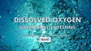 Dissolved Oxygen Water Quality Testing [upl. by Eiuqnom204]