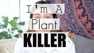 Houseplants Ive Killed Tips to Not Kill Houseplants [upl. by Sueahccaz943]