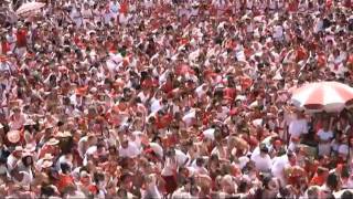 Biggest flash mob in Bayonne France 2010 [upl. by Lindgren]