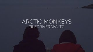 Piledriver waltz  arctic monkeys lyrics [upl. by Jacobah374]