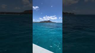 Hawaii Boat ride hawaii travel adventure boat ocean explore rider explore [upl. by Enelez]