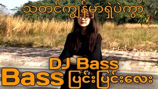 myanmar DJMIX 2024မြူးမြူးလေးများ bassနဲနဲ [upl. by Iz]