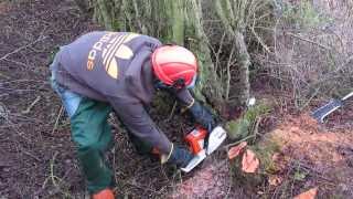 Hedge laying [upl. by Lizzie]