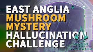 East Anglia Hallucination Challenge Mushroom Mystery Fly Agaric Assassins Creed Valhalla [upl. by Nomma]