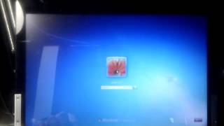 Windows 7  Dell Studio XPS 1340  SSD Boot [upl. by Pilloff902]