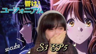 you two 😭 Hibike Euphonium 3 Ep 5 Reaction  吹响吧上低音号3 [upl. by Hgielrak]