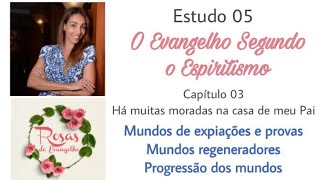 Estudo 5  Cap 3  Mundos de expiações e provas mundos regeneradores e progressão dos mundos [upl. by Polak225]