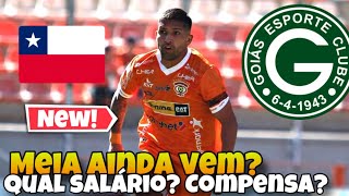 ðŸ’šðŸ‡¨ðŸ‡± JARA PEDIU PARA VOLTAR AO GOIÃS COMPENSA AONDE ESTÃ JOGANDO [upl. by Naawaj100]