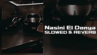 Nasini El Donya   SLOWED amp REVERB [upl. by Ardeahp]