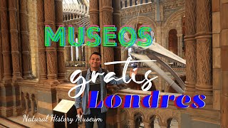 Museos Gratis Londres British Museum Natural History Museum National Gallery Victory ampAlbert M [upl. by Alekahs]