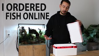 I Ordered Live Fish Online [upl. by Niccolo]