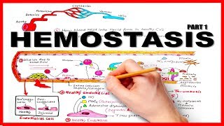 HEMOSTASISBLOOD CLOTTING MECHANISM part 1Natural Anticoagulants [upl. by Nidnal]