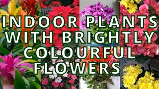 15 Best Indoor Plants that gives beautiful Flowers too  Indoor plants that bloom [upl. by Nisbet514]